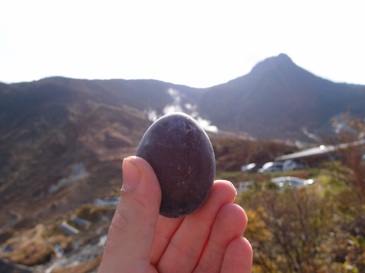 Black eggs (kuro tamago) sold at Owakudani volcanic valley