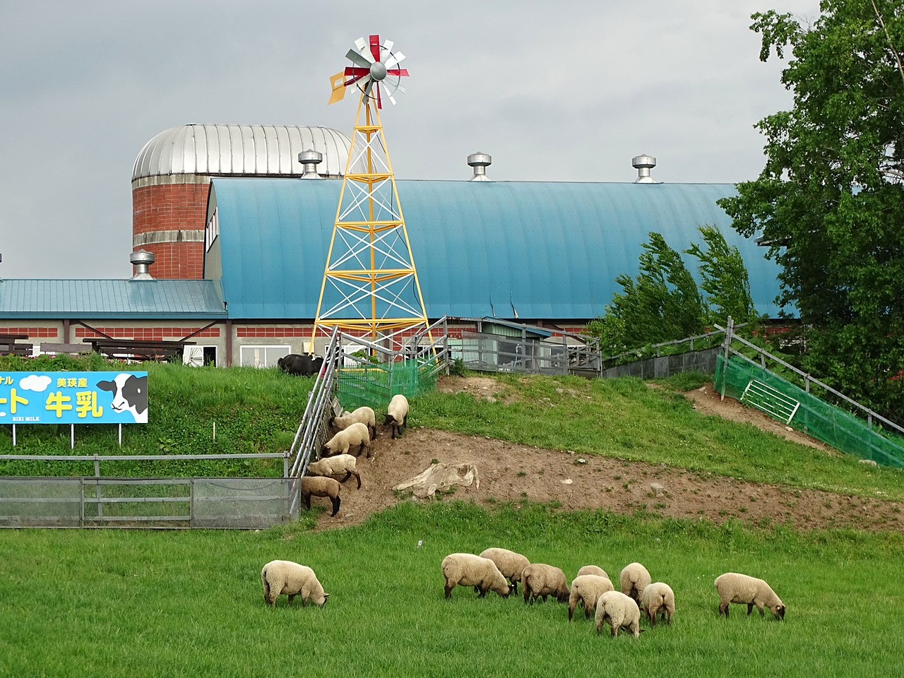 Children petting farm animals at a Hokkaido farm, with green fields in the background.