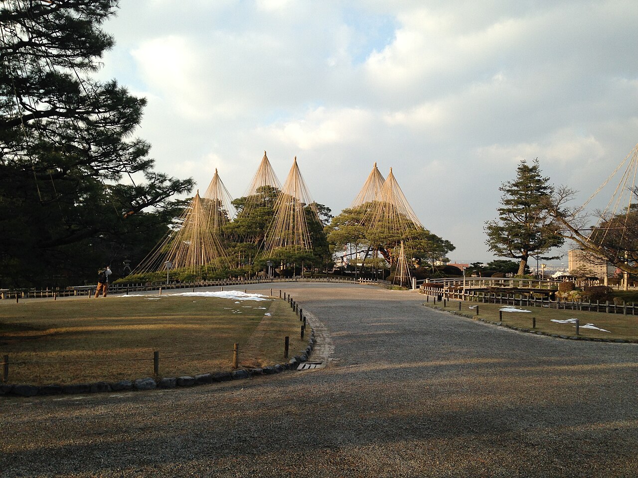 Trees in Kenroku-en Garden protected by traditional yukitsuri snow ropes during winter