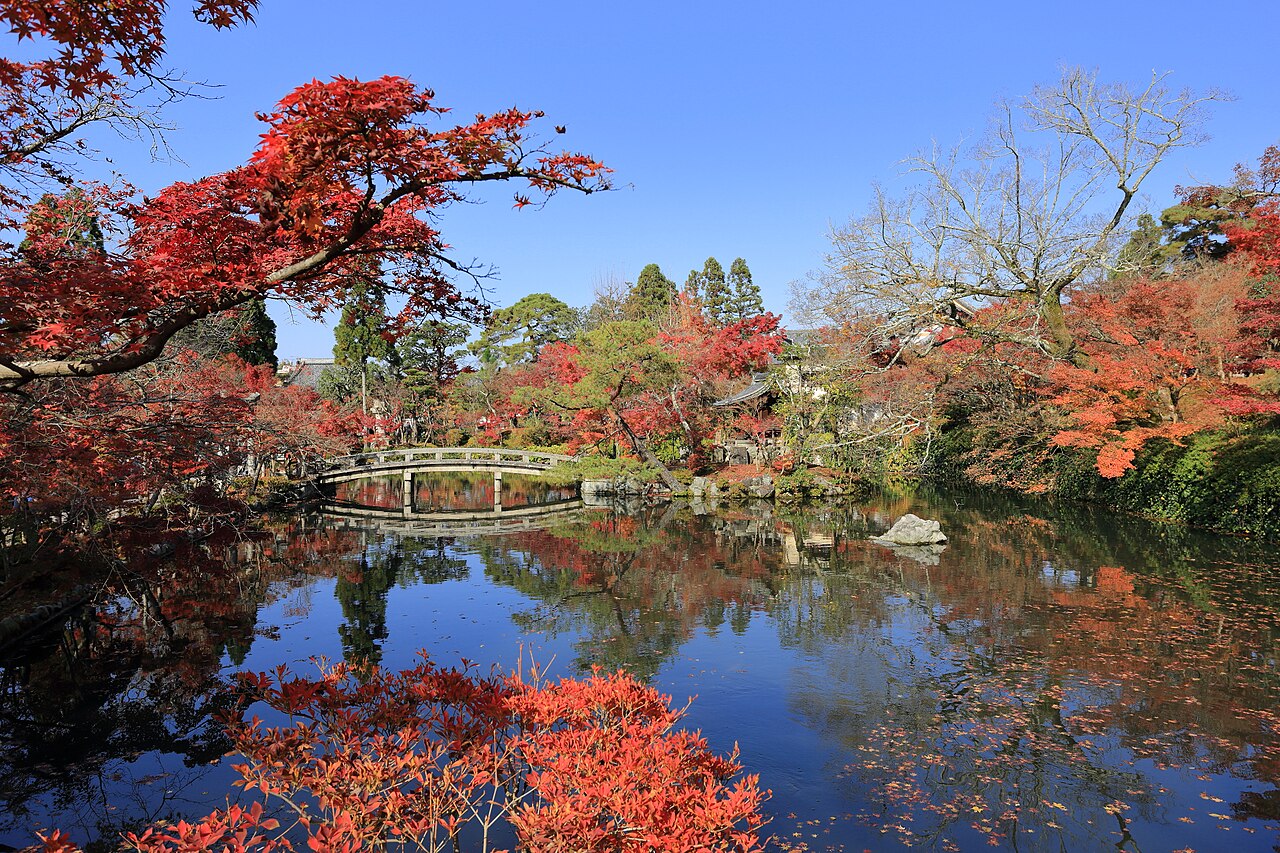 Eikan-do Temple grounds illuminated at night with glowing red autumn leaves reflected in a pond