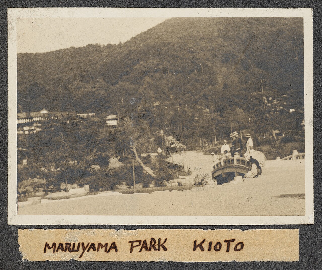 Illuminated giant weeping cherry tree at Maruyama Park during evening hanami.