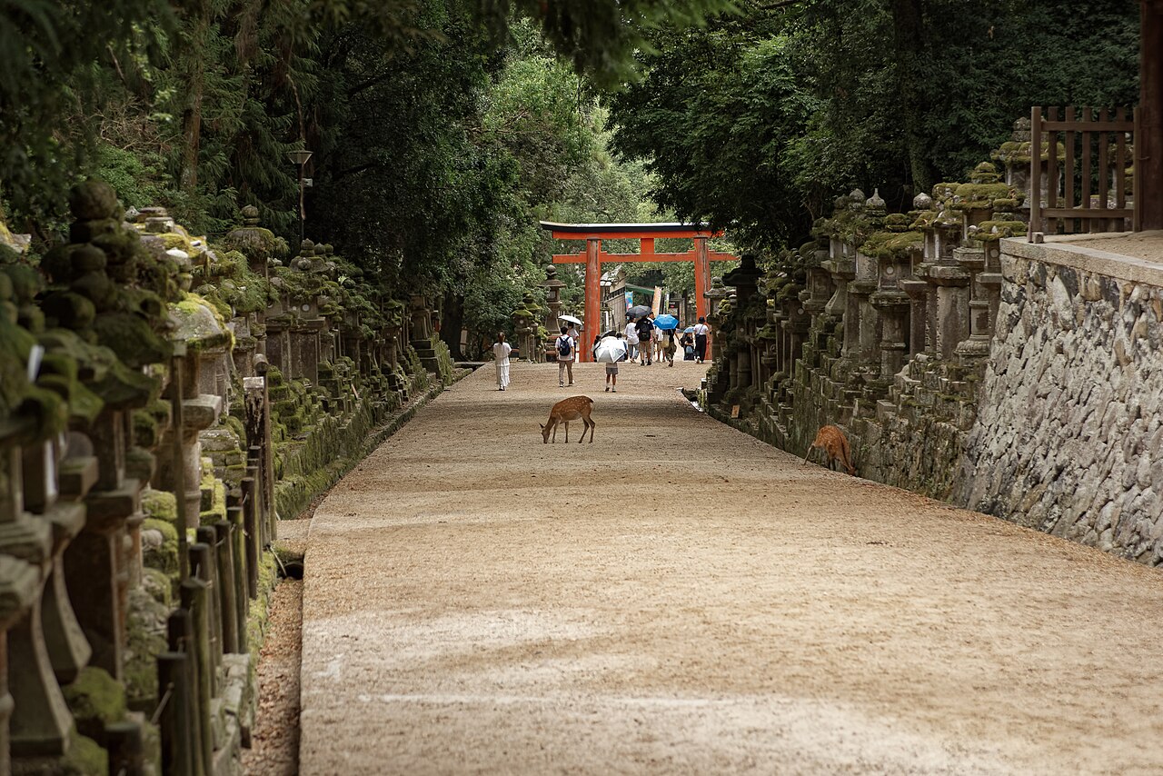A tourist feeding deer crackers to a bowing deer in Nara Park