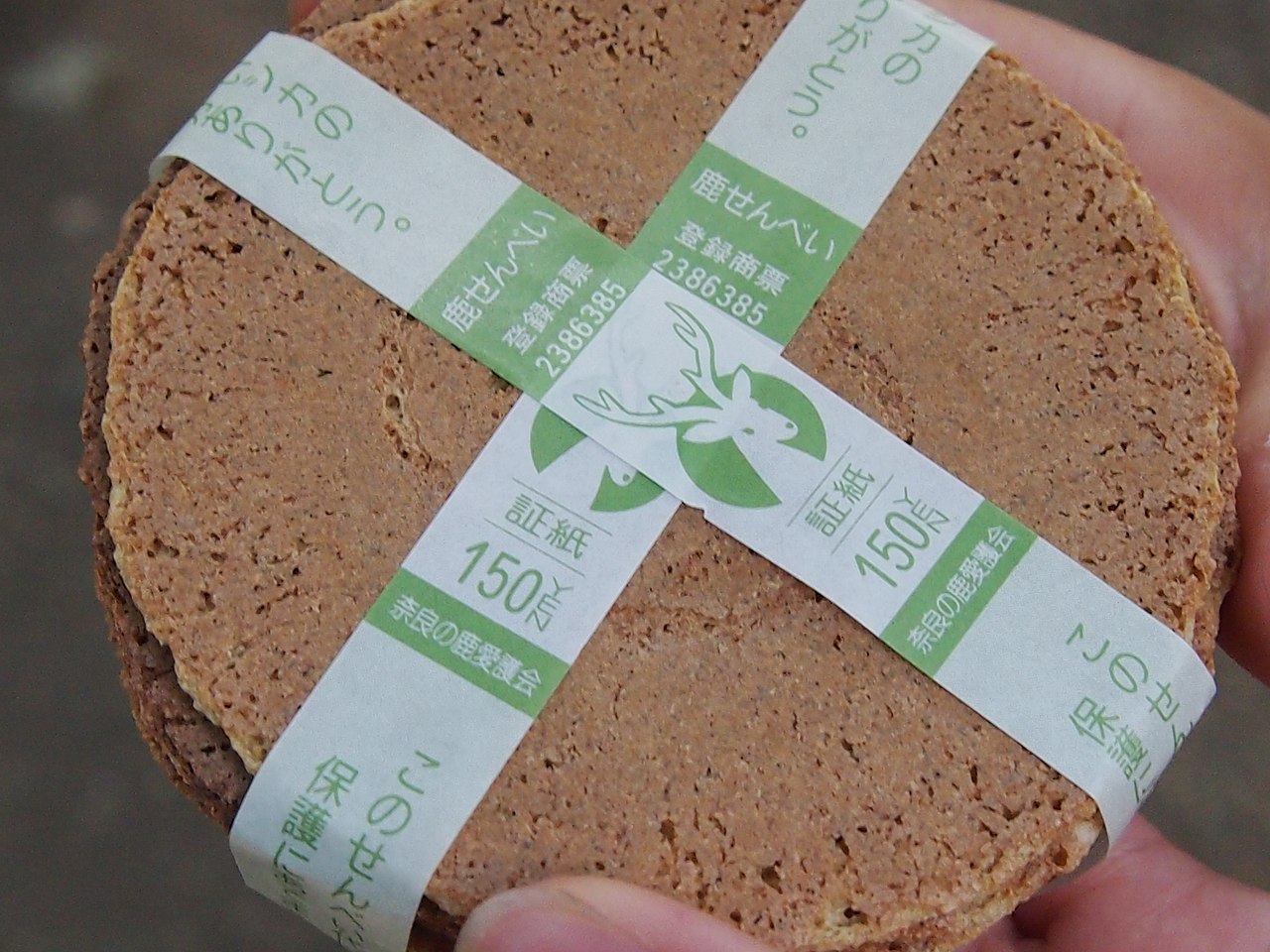 Nara Park and Deer Guide - Image 2