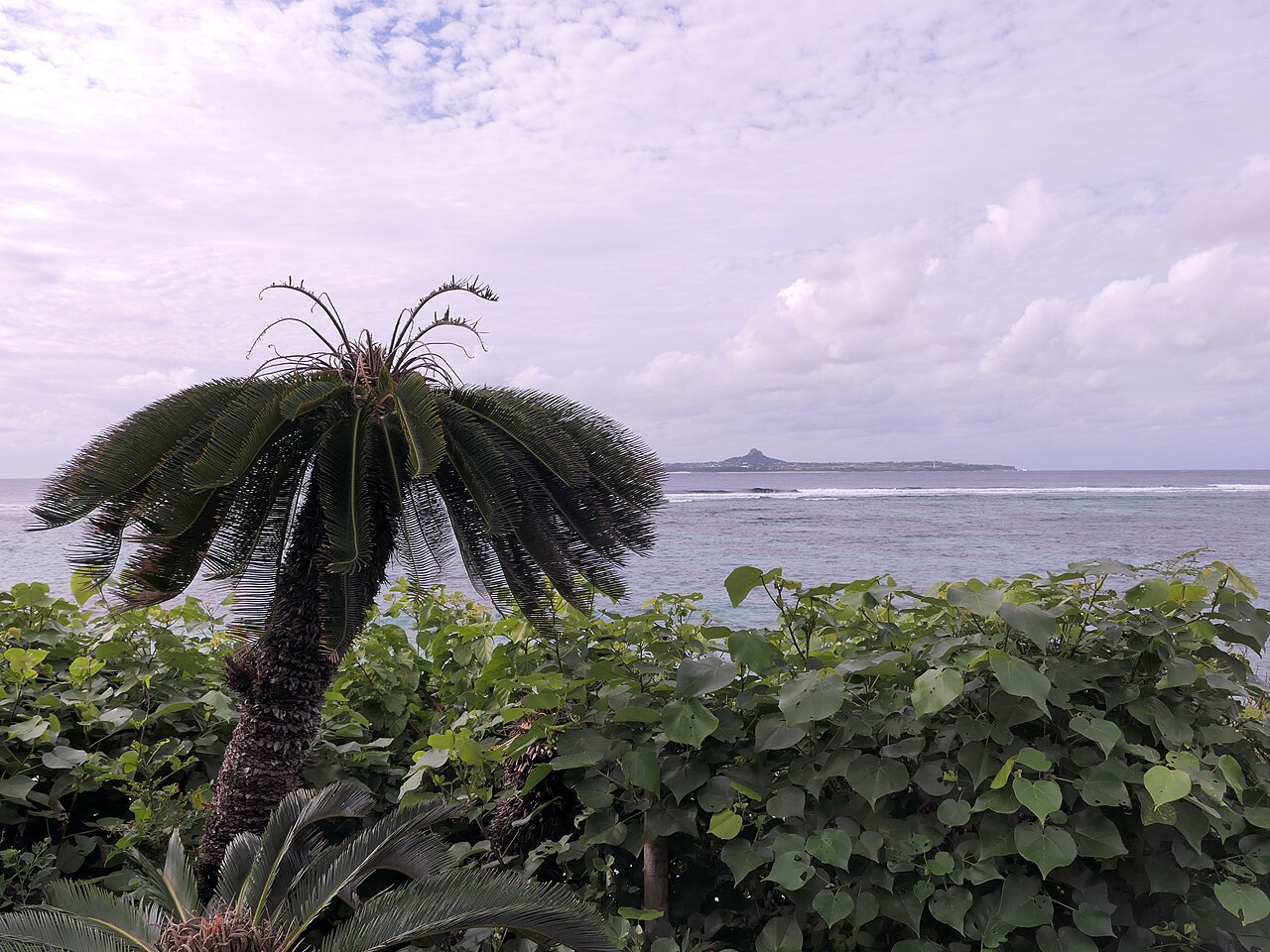 Emerald Beach within Ocean Expo Park, Okinawa, featuring clear turquoise water and white sand