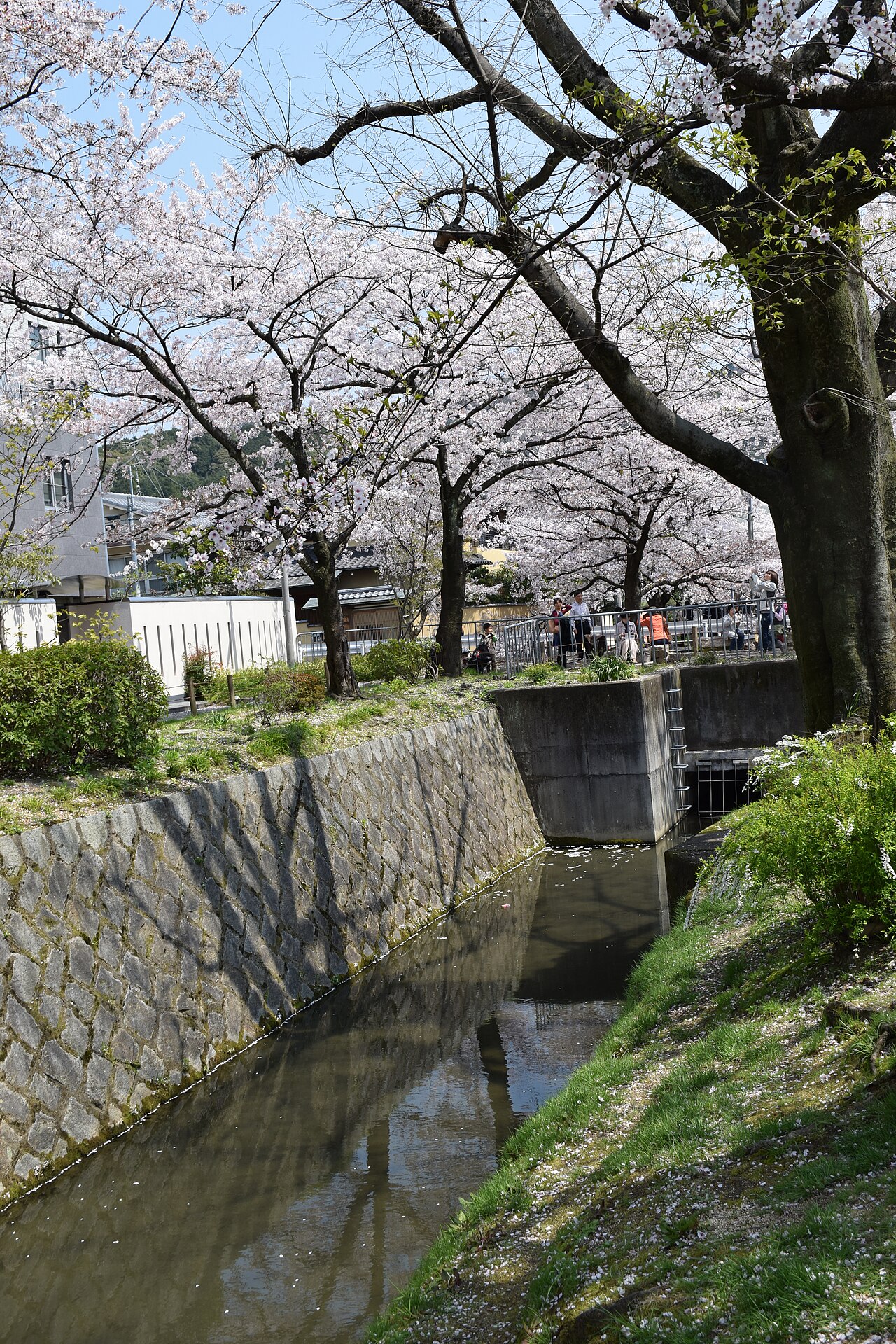 Philosophers Path Walking Guide - Image 1