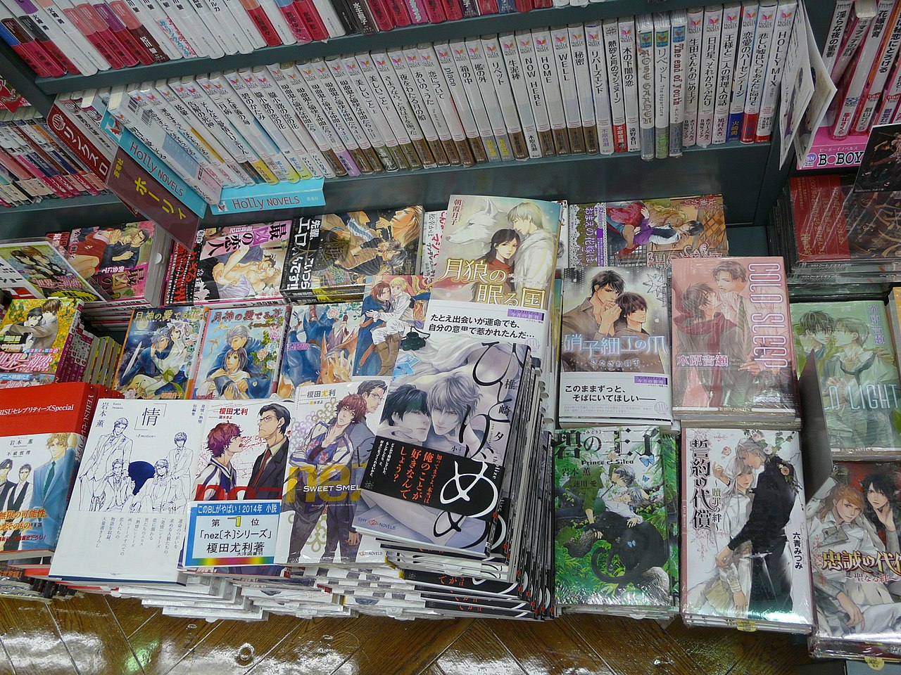 Shelves filled with anime figures, manga, and other merchandise in an Akihabara specialty shop