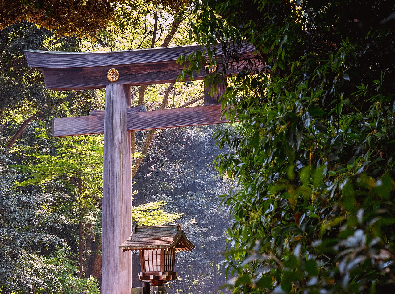 A massive wooden torii gate marking the entrance to Meiji Shrine's inner grounds
