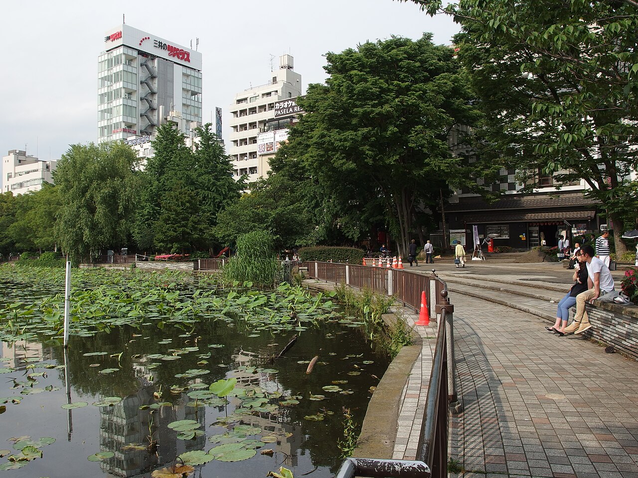 Lotus flowers blooming on Shinobazu Pond in Ueno Park