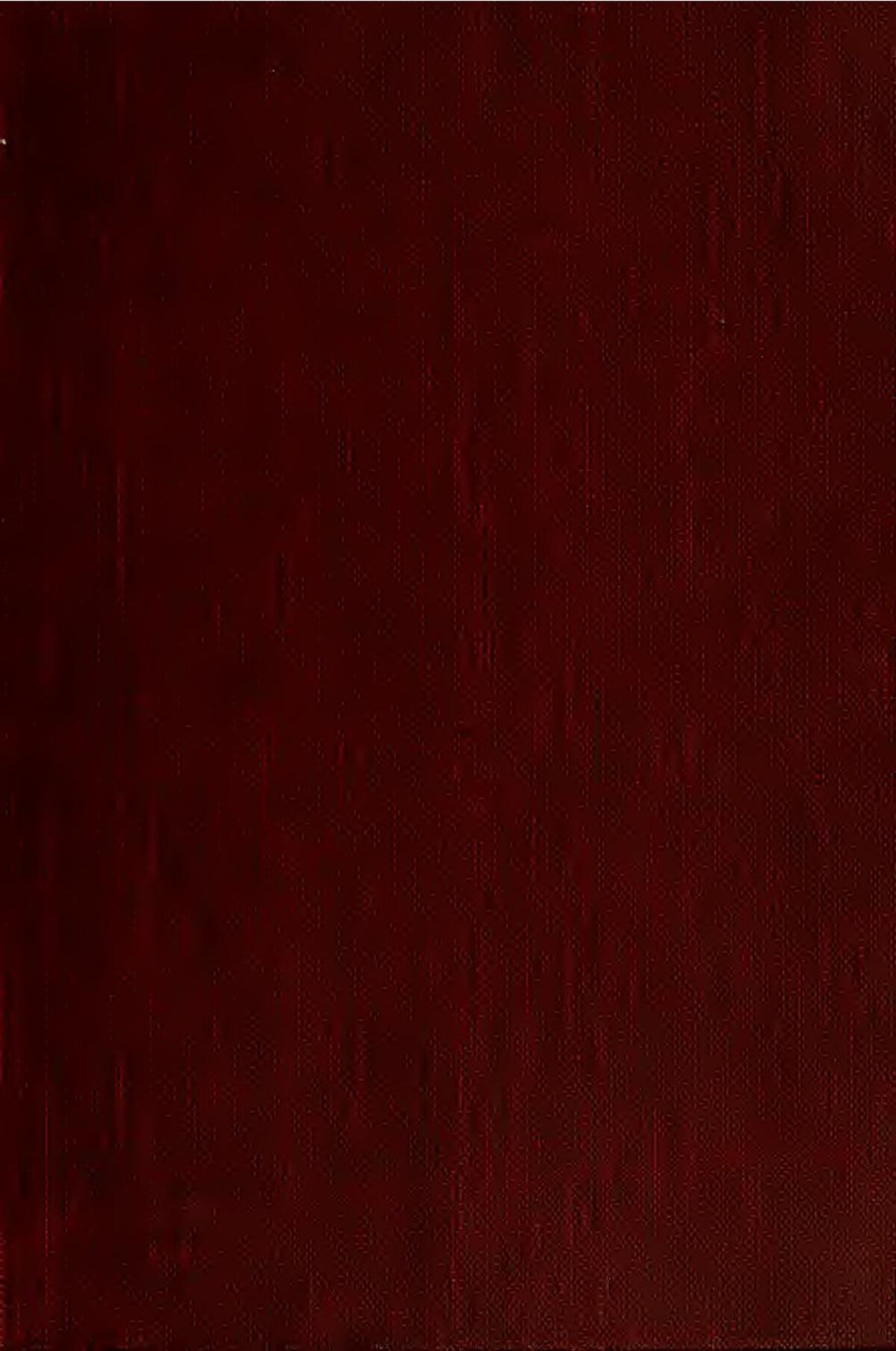 Tsukiji Outer Market Guide - Image 3